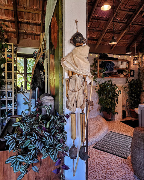 Indoor plant ideas to add greenery to your home - Beautiful Homes